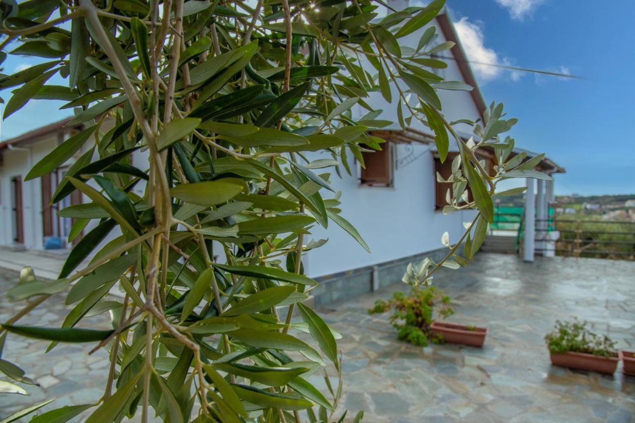 Eleonas Holiday Home Apartment آغيوس ستيفانوس المظهر الخارجي الصورة